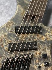 Ibanez EHB1506MS - Black Ice Flat -【3.29kg】【#I251203931】【良杢目個体】_4