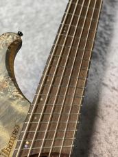 Ibanez EHB1506MS - Black Ice Flat -【3.29kg】【#I251203931】【良杢目個体】_6