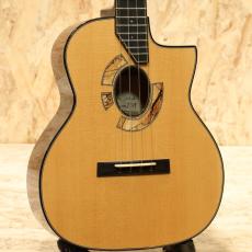 Beau Hannam Selmar Style Sitka Spruce Figured Maple Tenor 2019