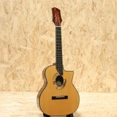 Beau Hannam Selmar Style Sitka Spruce Figured Maple Tenor 2019_3