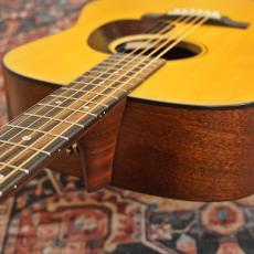 Martin D-10E Retro_4