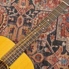 Martin D-10E Retro_5