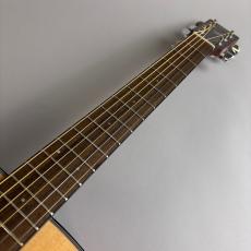 YAMAHA FS800_3
