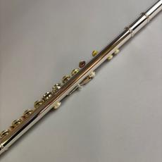 Altus A1107 【2026/8調整完了予定】_7