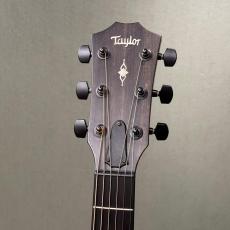 Taylor 327e V-Classic_3