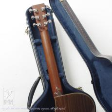 Altamira A650C【デモ動画掲載】_9