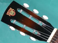 Dobro DW-60 SQ SB_5