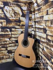 Takamine タカミネ DMP370NC 【エレガット】【日本総本店2F 在庫品】