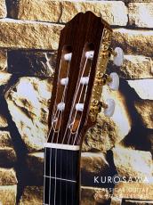 Takamine タカミネ DMP370NC 【エレガット】【日本総本店2F 在庫品】_8