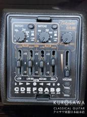 Takamine タカミネ DMP370NC 【エレガット】【日本総本店2F 在庫品】_10