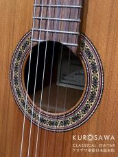 Antonio Sanchez [アントニオ・サンチェス] 2019年製 Model:Estudio-2C 杉・マホガニー【日本総本店2F 在庫品】_3
