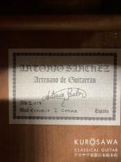 Antonio Sanchez [アントニオ・サンチェス] 2019年製 Model:Estudio-2C 杉・マホガニー【日本総本店2F 在庫品】_10