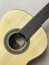 Paco Castillo 【初めてにおススメの1本】201S スプルース×サペリ【送料当社負担】_3