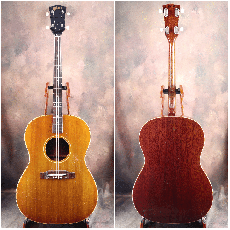 Gibson 1964年製 TG-25 tenor