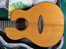 aNueNue aNN-LF550_2