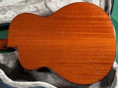 aNueNue aNN-LF550_3