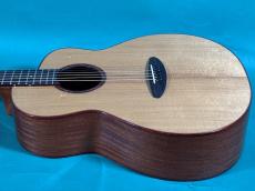 aNueNue aNN-LF550_4