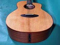 aNueNue aNN-LF550_11