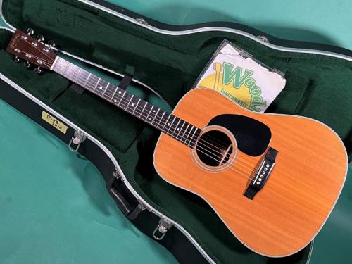 Martin D-28