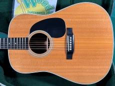 Martin D-28_2
