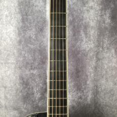 Takamine 500 Series Custom Ordered_3