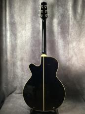 Takamine 500 Series Custom Ordered_5
