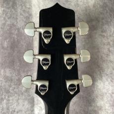Takamine 500 Series Custom Ordered_6