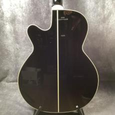 Takamine 500 Series Custom Ordered_8
