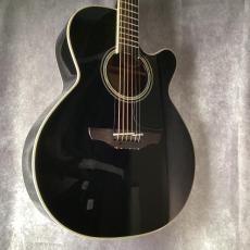 Takamine 500 Series Custom Ordered_9
