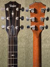 Taylor 317 V-Class Grand Pacific -2021USED!!-【48回迄金利0%対象】_8