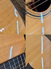 Taylor 317 V-Class Grand Pacific -2021USED!!-【48回迄金利0%対象】_9