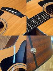 Taylor 317 V-Class Grand Pacific -2021USED!!-【48回迄金利0%対象】_10