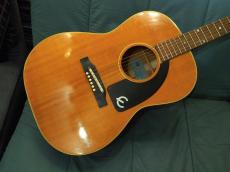 Epiphone Cortez_2