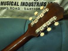 Epiphone Cortez_6