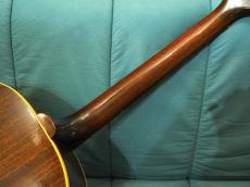 Epiphone Cortez_7