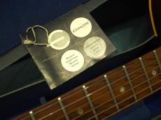 Epiphone Cortez_10