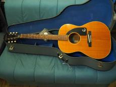 Epiphone Cortez_11