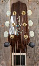 Takamine RNV460C 【世界限定100本】_5