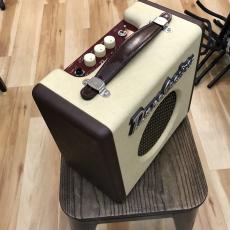 Danelectro Dirty Thirty_4