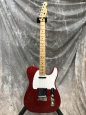 Fender Standard Telecaster_2