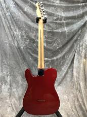 Fender Standard Telecaster_3