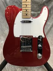 Fender Standard Telecaster_5