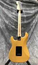 Fender American Standard Stratocaster Mod_3