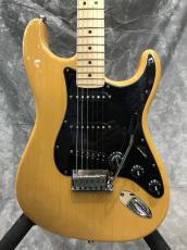Fender American Standard Stratocaster Mod_5