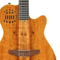 Godin Multiac ACS SA Koa *2012_5