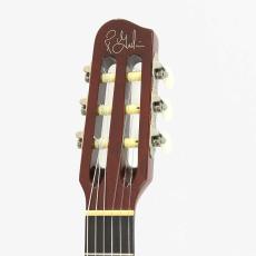 Godin Multiac ACS SA Koa *2012_7