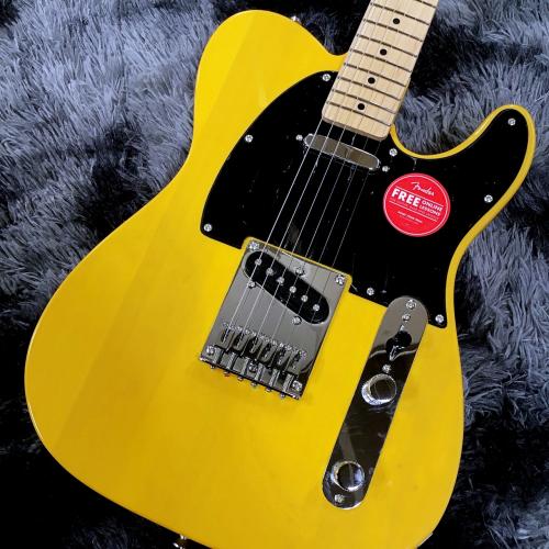 Squier Sonic Telecaster Butterscotch Blonde / Maple【定番エントリーモデル!】【2025年製】