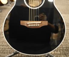 Takamine 【6月セール】TDP161C BL 【当店限定特典付】【真空管プリアンプ】【48回無金利】【送料当社負担】_3