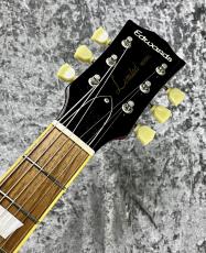 Edwards E-LP-100 QM /SD 'SeeThroughRed【2013'sUSED】_3