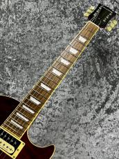 Edwards E-LP-100 QM /SD 'SeeThroughRed【2013'sUSED】_4